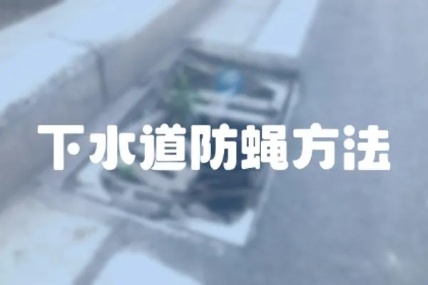 下水道防蠅方法