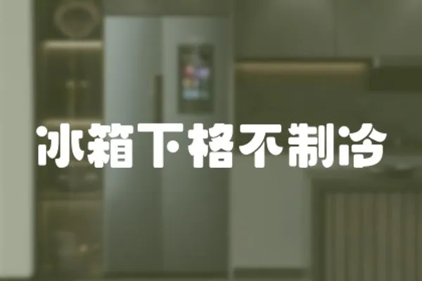 冰箱下格不制冷