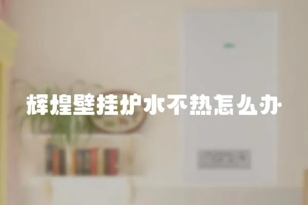 輝煌壁掛爐水不熱怎么辦