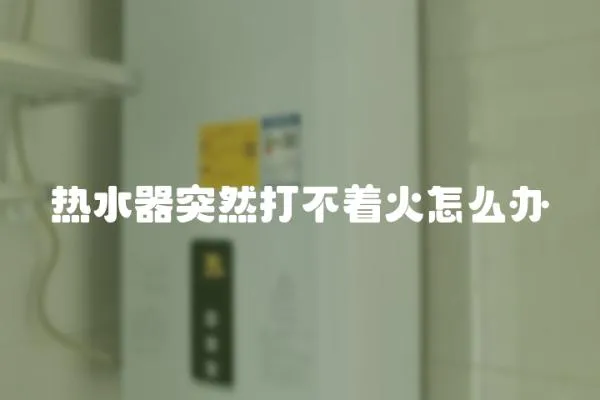 熱水器突然打不著火怎么辦