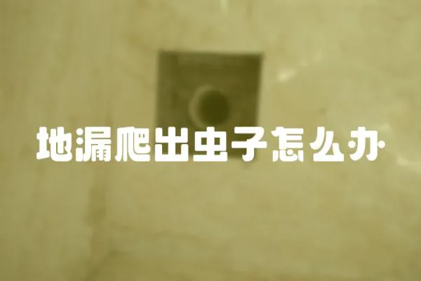 地漏爬出蟲子怎么辦