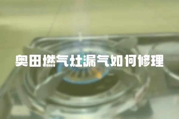 奧田燃?xì)庠盥馊绾涡蘩?></a></div>
                    <div   id=