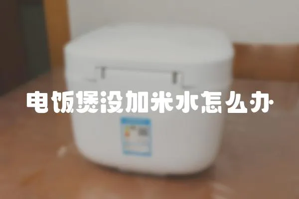 電飯煲沒加米水怎么辦
