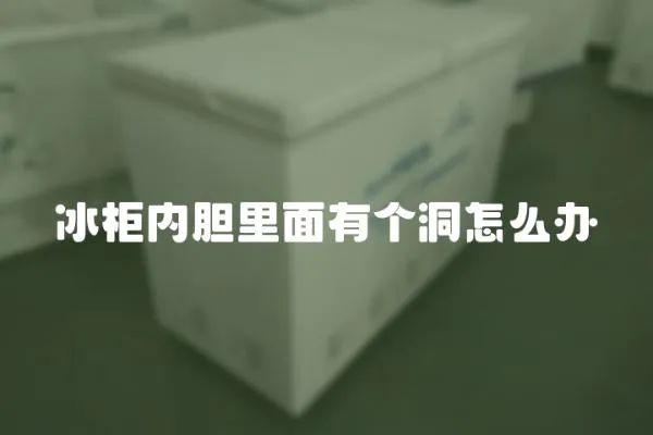 冰柜內膽里面有個洞怎么辦