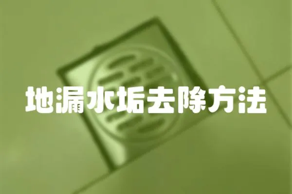 地漏水垢去除方法