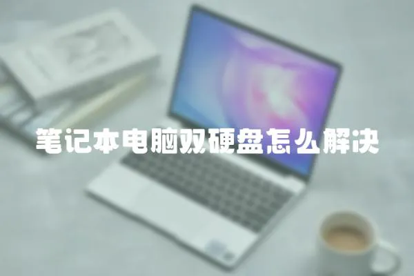 笔记本电脑双硬盘怎么解决