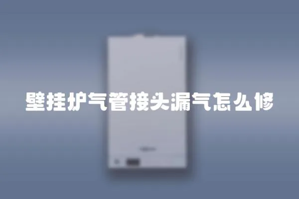 壁掛爐氣管接頭漏氣怎么修