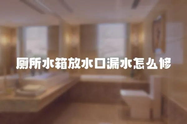 廁所水箱放水口漏水怎么修