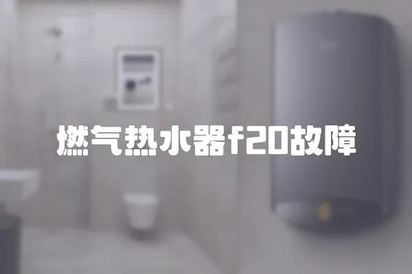 燃?xì)鉄崴鱢20故障