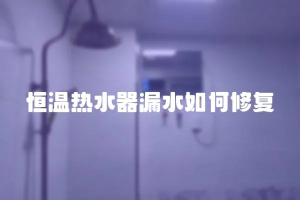 恒溫熱水器漏水如何修復