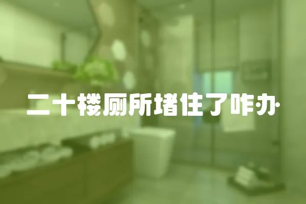 二十樓廁所堵住了咋辦