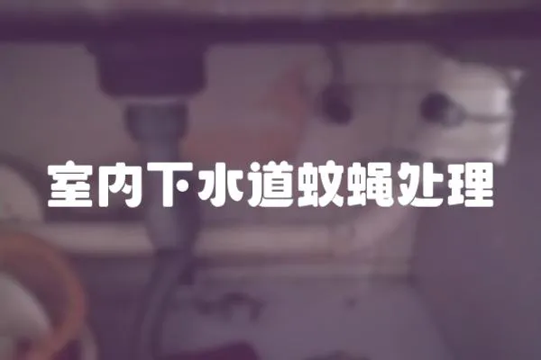 室內下水道蚊蠅處理