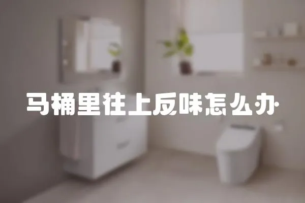 馬桶里往上反味怎么辦