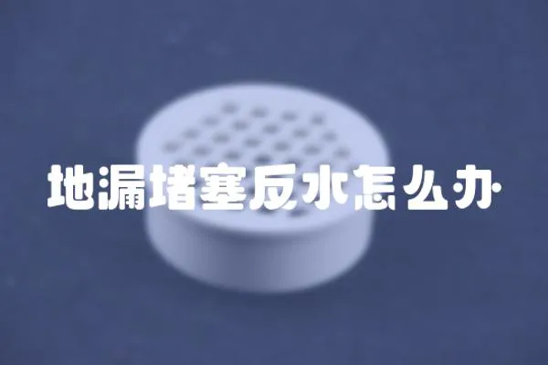 地漏堵塞反水怎么辦