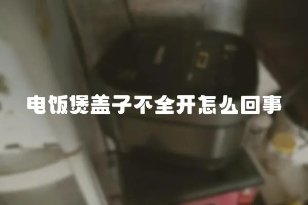 電飯煲蓋子不全開怎么回事