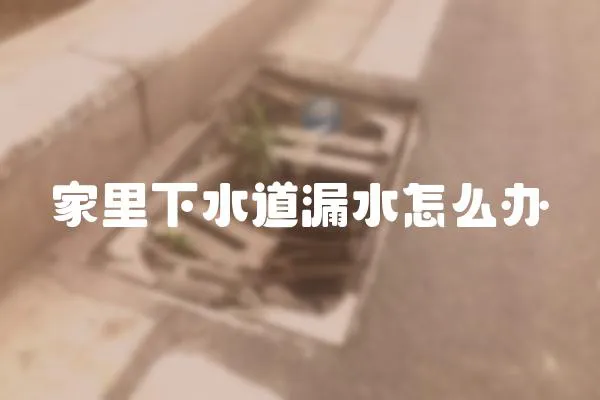 家里下水道漏水怎么辦