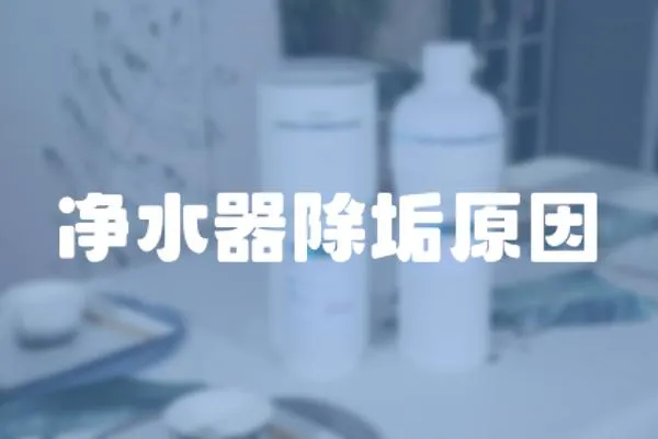凈水器除垢原因