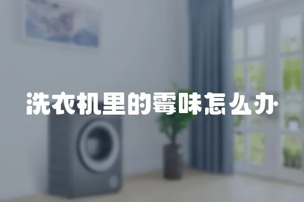 洗衣機里的霉味怎么辦