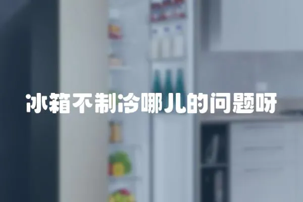 冰箱不制冷哪兒的問題呀