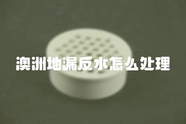 澳洲地漏反水怎么處理