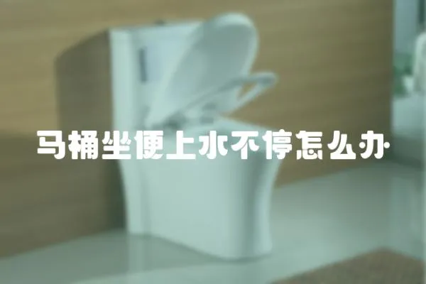 馬桶坐便上水不停怎么辦