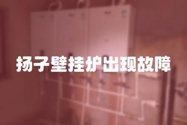 揚子壁掛爐出現故障