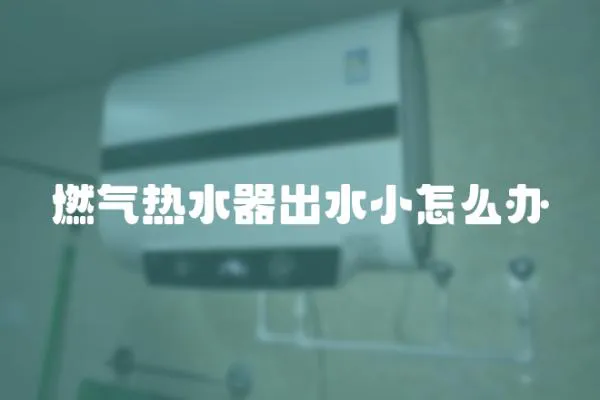 燃?xì)鉄崴鞒鏊≡趺崔k