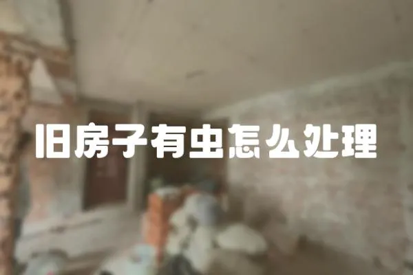 舊房子有蟲怎么處理