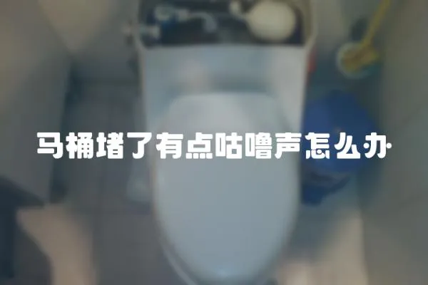 馬桶堵了有點咕嚕聲怎么辦