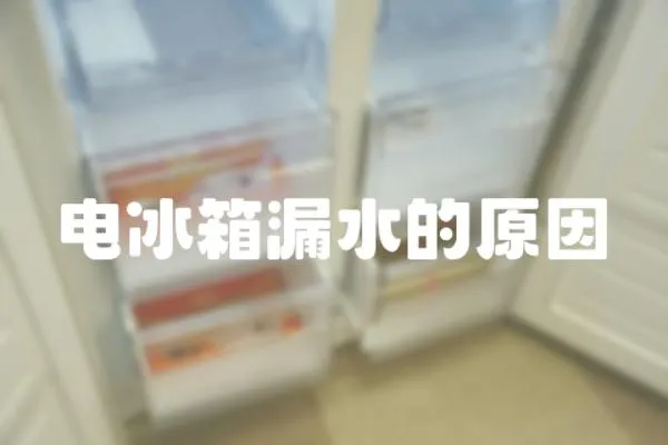 電冰箱漏水的原因