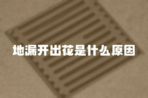 地漏開出花是什么原因