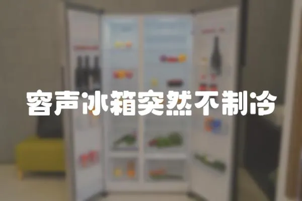 容聲冰箱突然不制冷