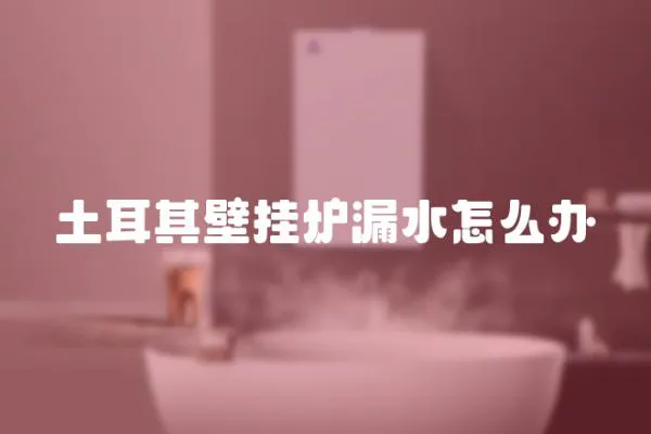 土耳其壁掛爐漏水怎么辦
