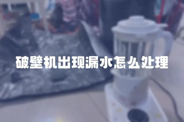 破壁機(jī)出現(xiàn)漏水怎么處理