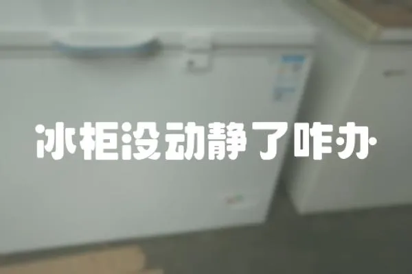 冰柜沒(méi)動(dòng)靜了咋辦
