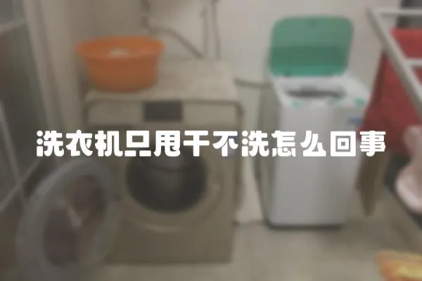 洗衣機只甩干不洗怎么回事