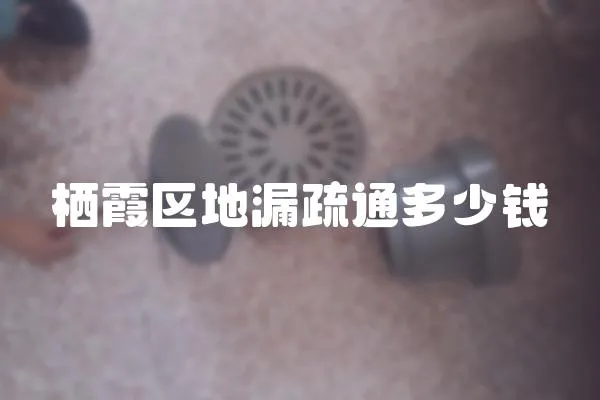 棲霞區地漏疏通多少錢