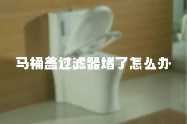 馬桶蓋過濾器堵了怎么辦
