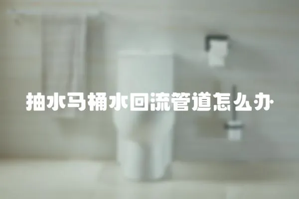 抽水馬桶水回流管道怎么辦