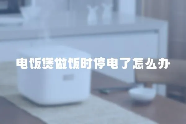 電飯煲做飯時停電了怎么辦
