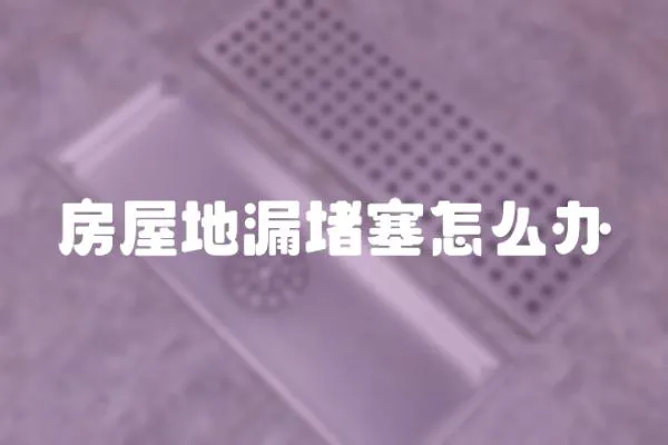 房屋地漏堵塞怎么辦