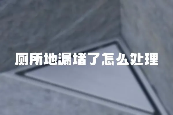 廁所地漏堵了怎么處理