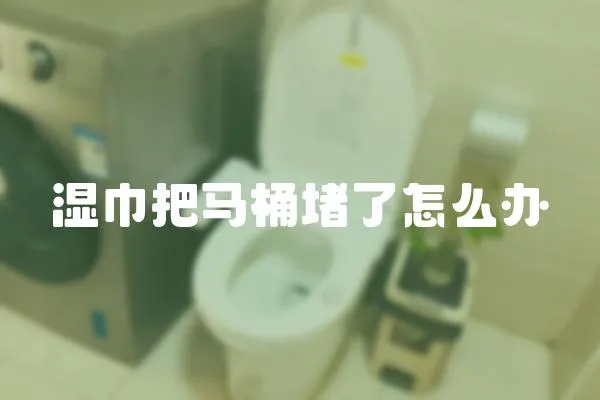 濕巾把馬桶堵了怎么辦