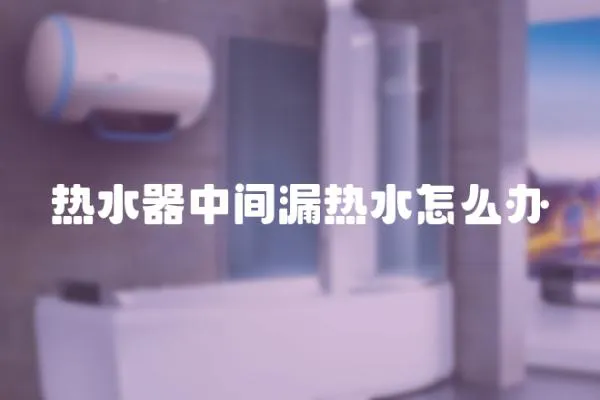 熱水器中間漏熱水怎么辦