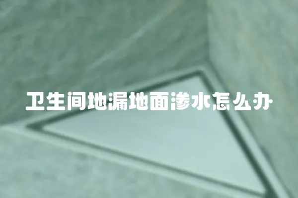 衛生間地漏地面滲水怎么辦