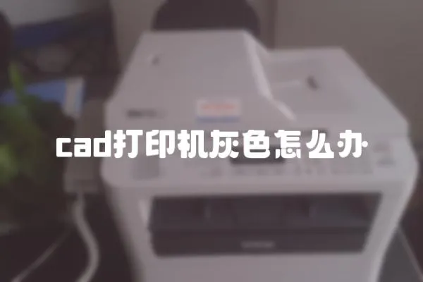 cad打印機灰色怎么辦