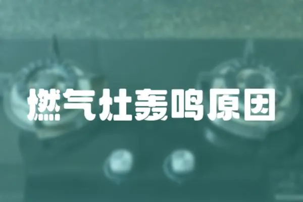 燃?xì)庠钷Z鳴原因