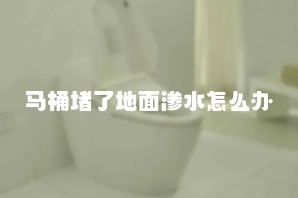 马桶堵了地面渗水怎么办