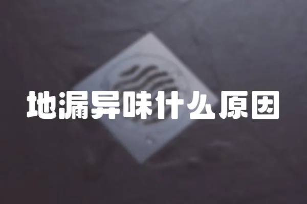 地漏異味什么原因