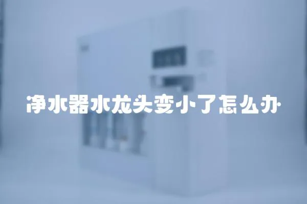 凈水器水龍頭變小了怎么辦